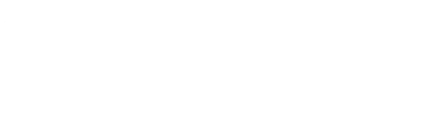 Quad Lock